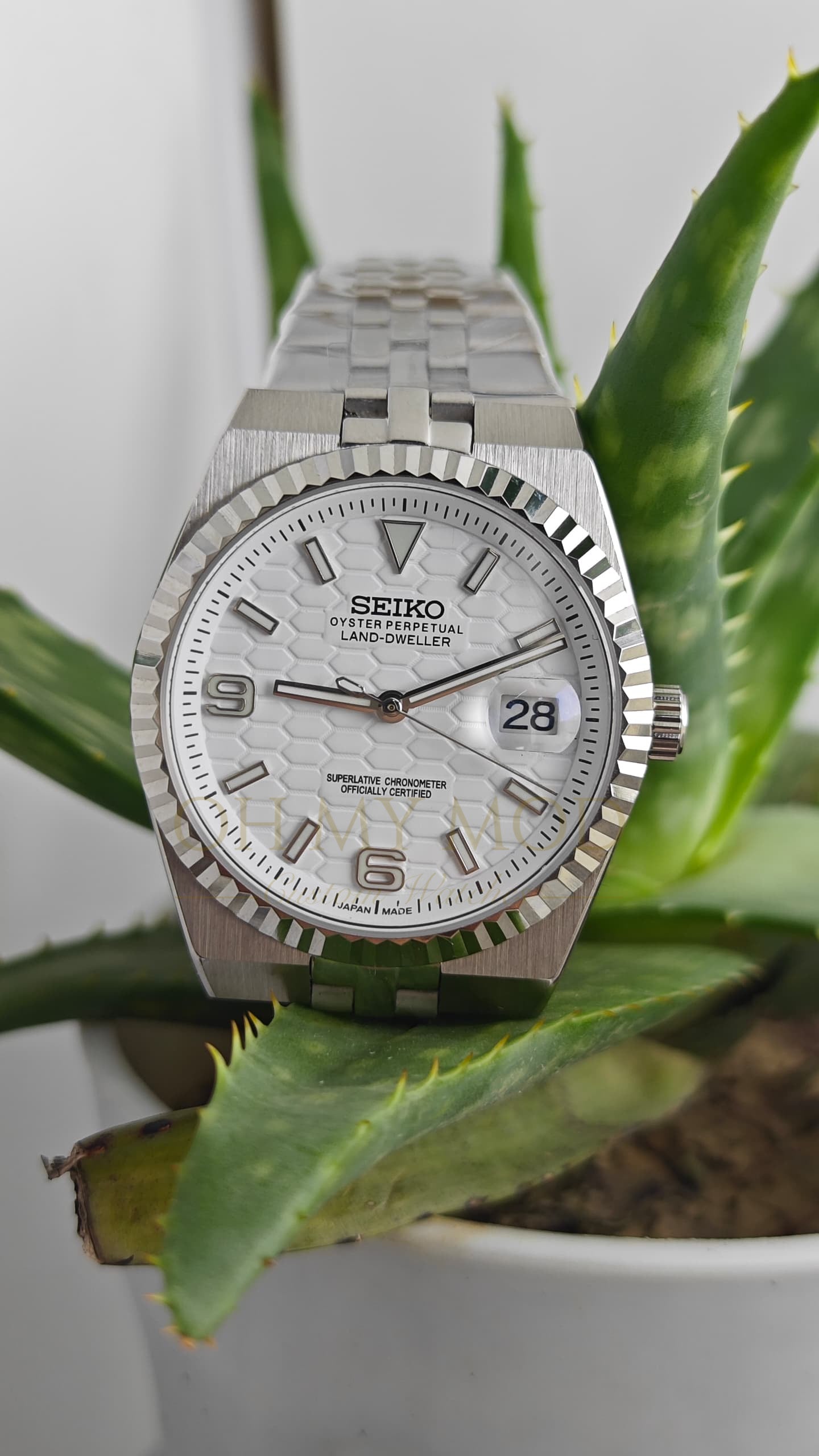 Seiko Mod Land Dweller "White"