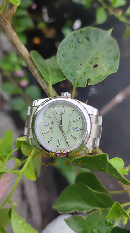 Oysteiko | Pistachio