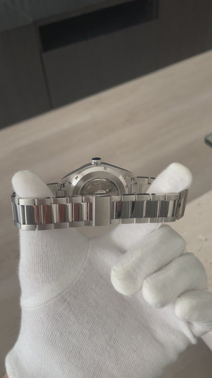 Seikomaster Aqua Terra